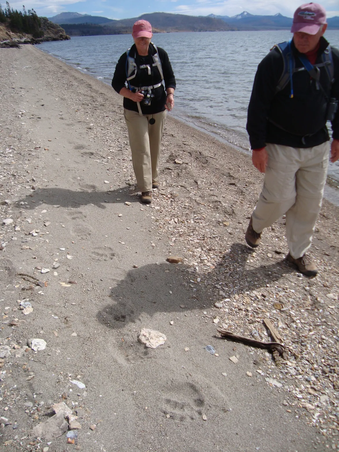 Hiking Yellowstone Lake  Hiking in near Yellowstone Lake