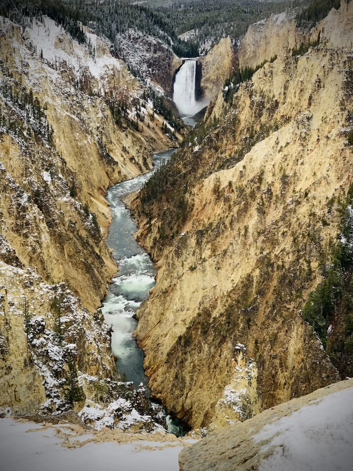 Highlights of Yellowstone