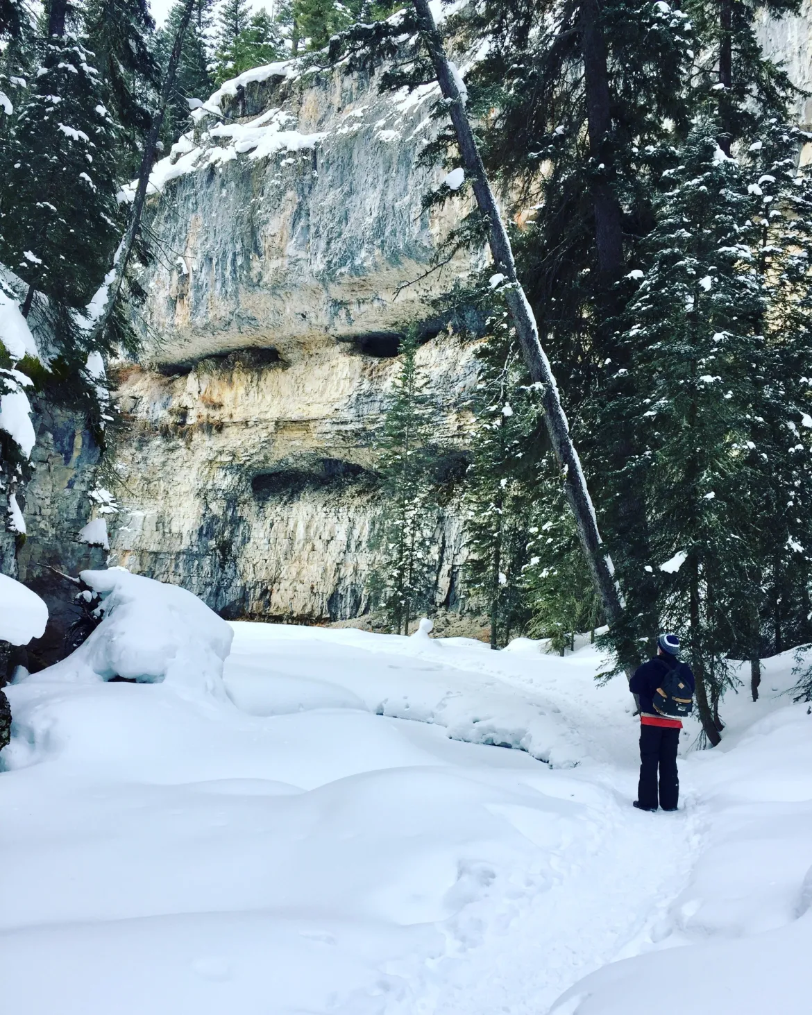 Snowshoe in canyon
