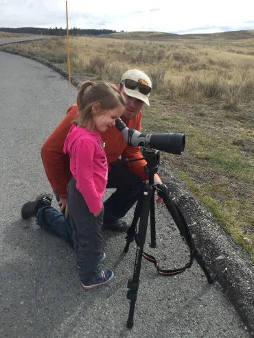 View the wildlife in Yellowstone  Viewing the wildife in Yellowstone
