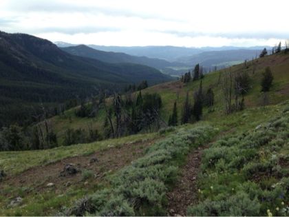 View of Slough Creek - Yellowstone Bliss Pass, Yellowstone