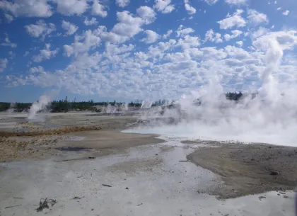 Porcelain Basin - Norris Geyser Basin  Porcelain Basin - Norris Geyser Basin