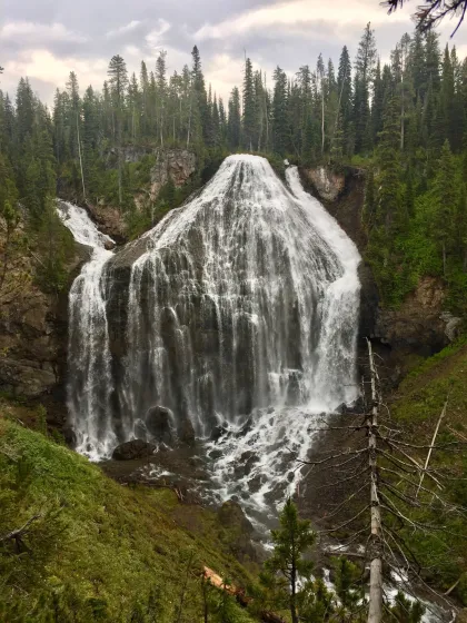 Union Falls in YNP Union Falls in Yellowstone