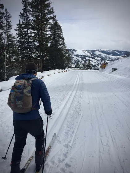 Going for a ski Cross-Country Skiing in Yellowstone