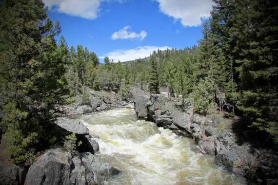 Hellroaring Creek - Yellowstone Hellroaring Creek - Yellowstone