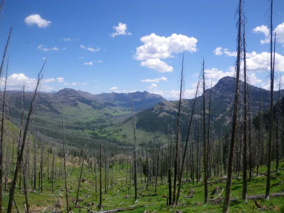 Looking east from Bliss Pass, Yellowstone National Park Yellowstone National Park, Bliss Pass, Northern Rockies