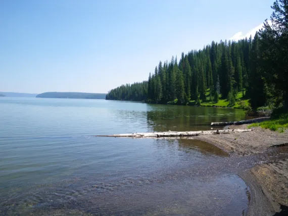 Shores of Shoshone Lake - Yellowstone Guidelines Shores of Shoshone Lake - Yellowstone Guidelines