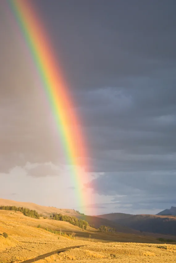 Rainbow in the Backcountry - Yellowstone Hiking Tours and Guided Day Hikes Rainbow in the Backcountry - Yellowstone Hiking Tours and Guided Day Hikes