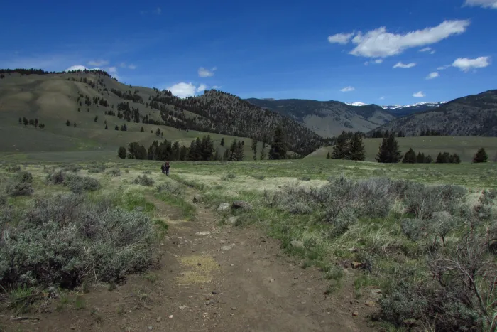 Absaroka Mountains from Yellowstone - YNP Yellowstone, hiking, backpacking, Yellowstone Guidelines, trekking, Blacktail Plateai