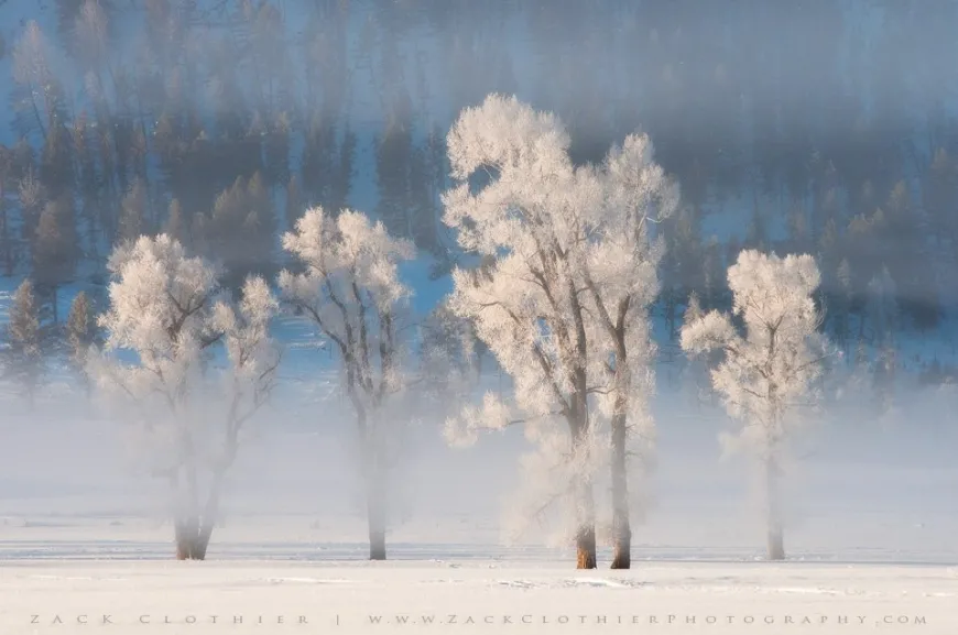 Winter in Yellowstone
