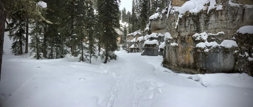Snowshoeing Pebble Creek in Yellowstone Snowshoeing Pebble Creek in Yellowstone