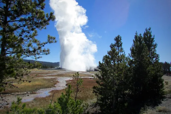 Old Faithful Geyser - Yellowstone Old Faithful Geyser - Yellowstone